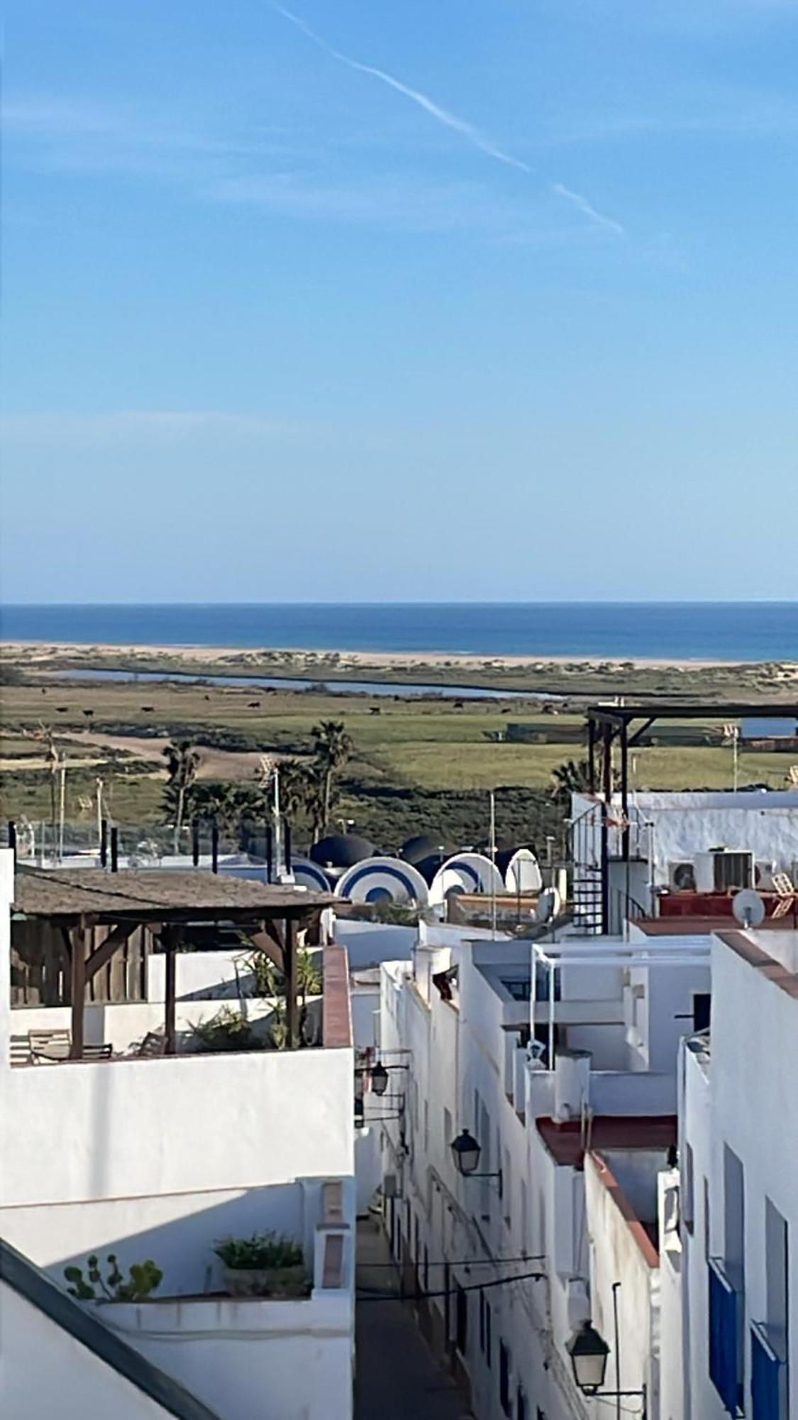 Nuevo Apartamento Murillo D Y Coworking Conil De La Frontera Exterior foto